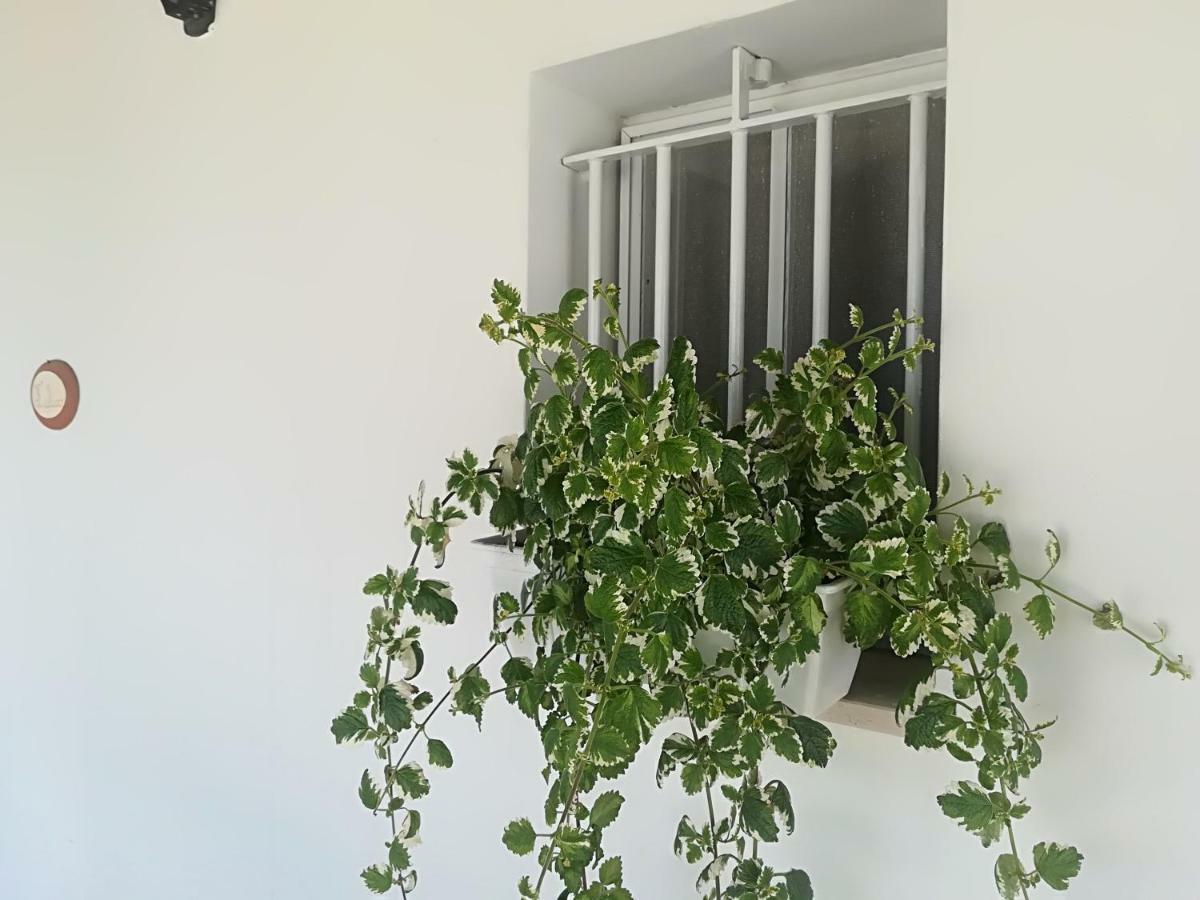 Aparthotel Il Sogno