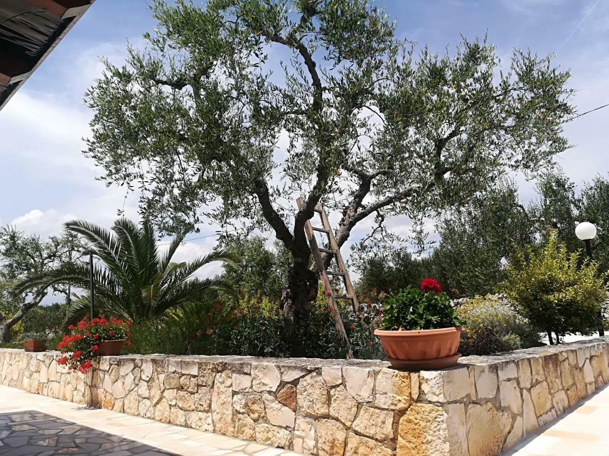 Il Sogno * Alberobello